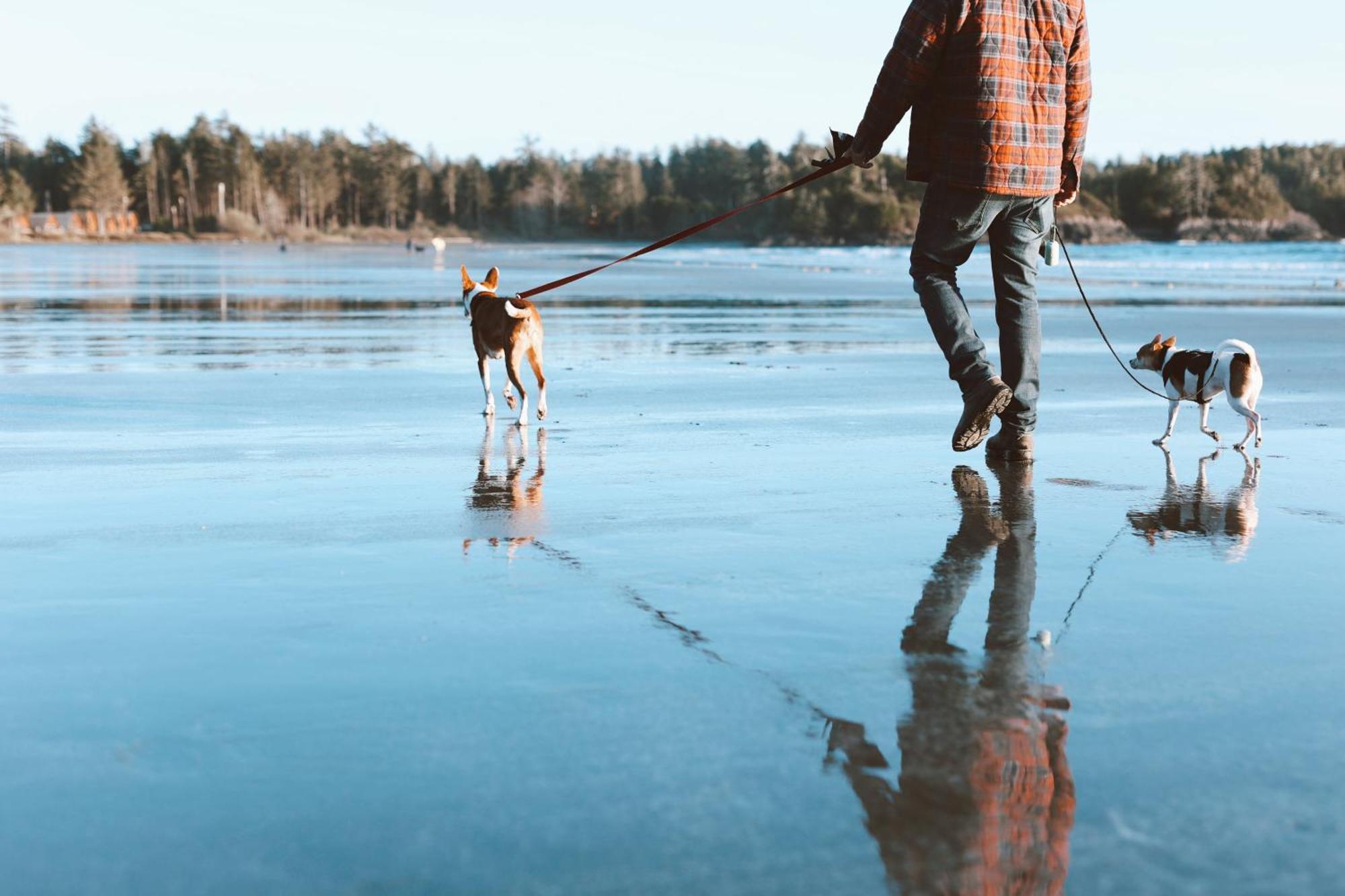 Ocean Village Resort Tofino Dış mekan fotoğraf